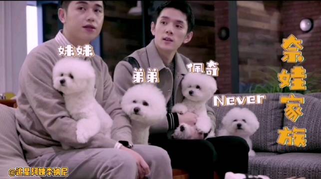 刚看了never家族的团综不愧是女明星...